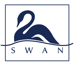 swan paints